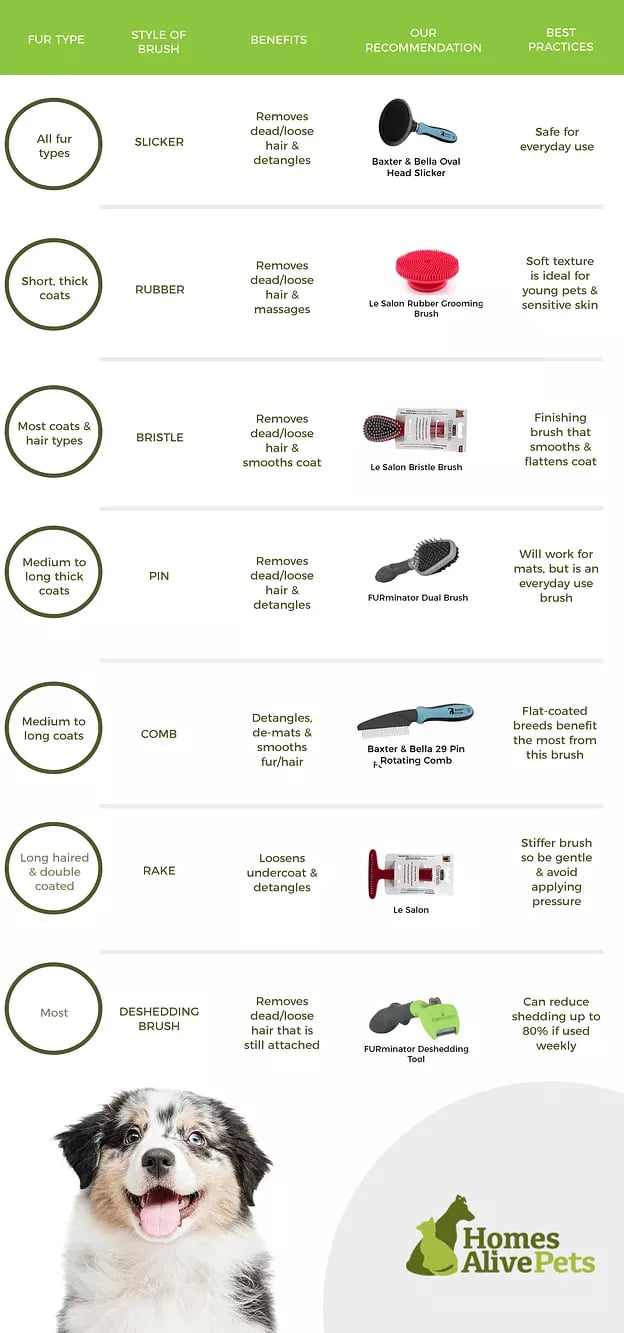 Steps to 2025 grooming a dog